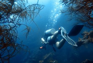 Nos plongées sous-marine à Bali
